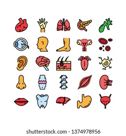 Human organ icon set with filled outline vector illustration