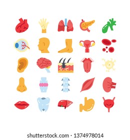 Human organ icon set with flat style vector illustration