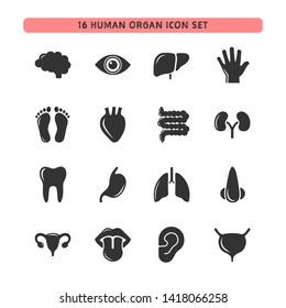 Human Organ Icon Set On A White Background