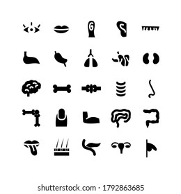 Icono de órgano humano conjunto vector sólido para sitio web, aplicación móvil, presentación, medios sociales. Adecuado para la interfaz de usuario y la experiencia del usuario.