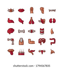 Icono de Órgano Humano conjunto línea plana vectorial para sitio web, aplicación móvil, presentación, medios sociales. Adecuado para la interfaz de usuario y la experiencia del usuario.