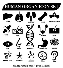 Vektorgrafik der menschlichen Organsymbole