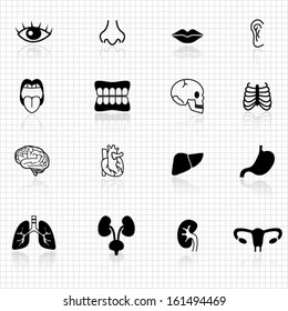 human organ icons