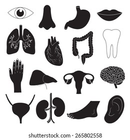 Human Organ Icons Set