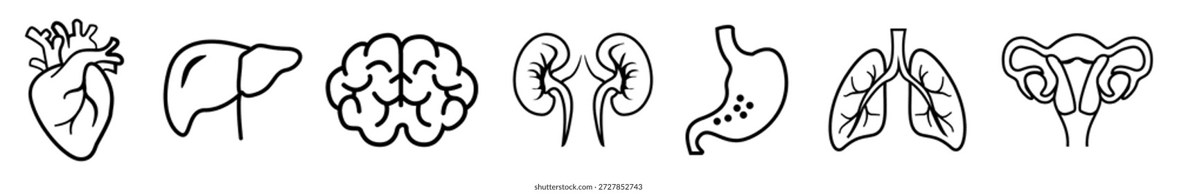 Ícones de órgãos humanos ilustrações vetoriais, Anatomia ícones de órgãos internos humanos, partes do corpo, cérebro, coração, pulmões, órgãos internos vitais isolados, Conjunto de órgãos internos. Ícone de linha médica mínima.