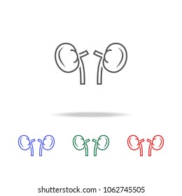 Human Organ Kidney Line icon. Elements of human body part multi colored icons. Premium quality graphic design icon. Simple icon for websites, web design, mobile app, info graphics on white background