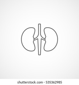 Human Organ Kidney Line Icon On White Background