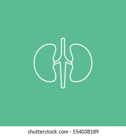 Human Organ Kidney Line Icon On Green Background