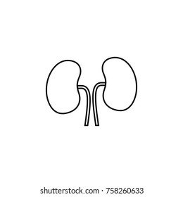 Human Organ Kidney Line Icon On White Background