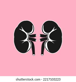 human organ kidney vector design