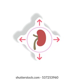 human organ kidney Vector paper sticker various symptoms of Malaria on the bud
