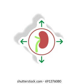 human organ kidney Vector paper sticker various symptoms of Malaria on the bud