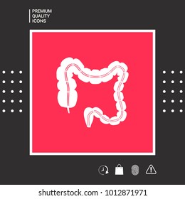 Human organ - the large intestine