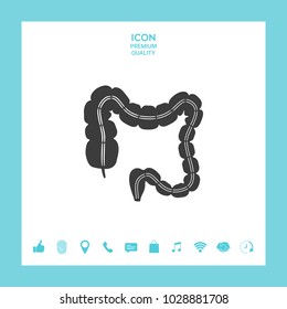 Human organ - the large intestine