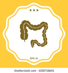 Human organ - the large intestine