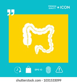 Human organ - the large intestine
