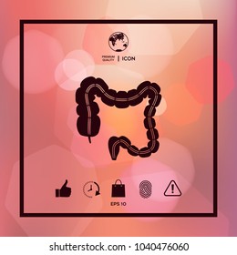 Human organ - the large intestine