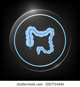 Human organ - the large intestine