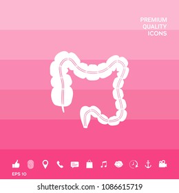 Human organ - the large intestine