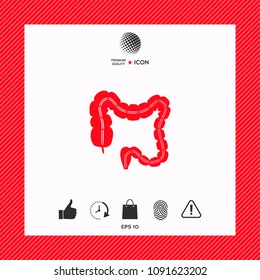 Human organ - the large intestine