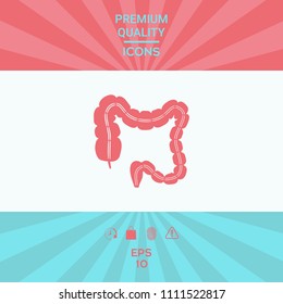 Human organ - the large intestine
