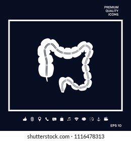 Human organ - the large intestine