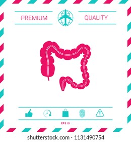 Human organ - the large intestine