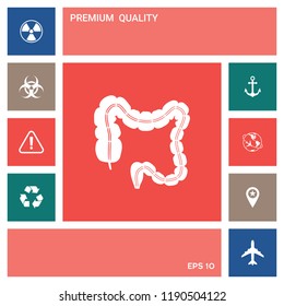 Human organ - the large intestine