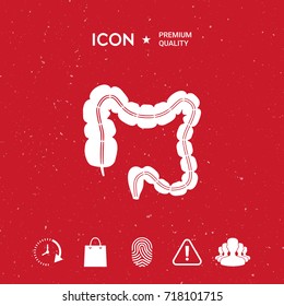 Human organ - the large intestine
