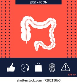 Human organ - the large intestine