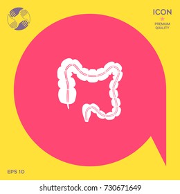 Human organ - the large intestine