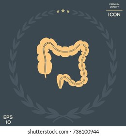 Human organ - the large intestine