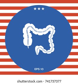 Human organ - the large intestine