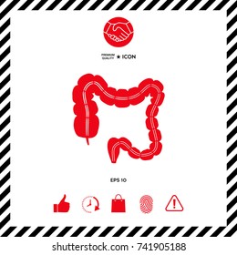 Human organ - the large intestine