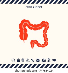 Human organ - the large intestine