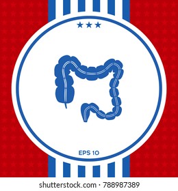 Human organ - the large intestine