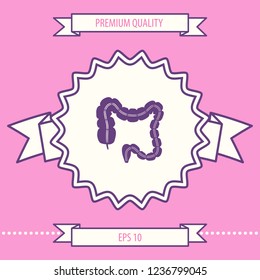 Human organ - the large intestine. Graphic elements for your design