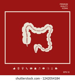 Human organ - the large intestine. Graphic elements for your design