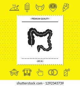 Human organ - the large intestine. Graphic elements for your design