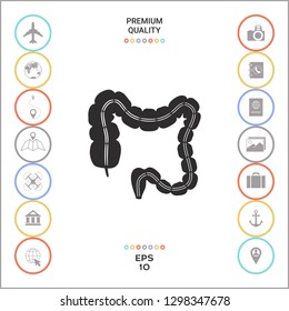 Human organ - the large intestine. Graphic elements for your design