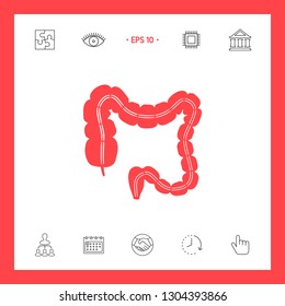 Human organ - the large intestine. Graphic elements for your design