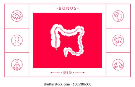 Human organ - the large intestine. Graphic elements for your design