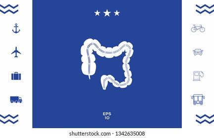 Human organ - the large intestine. Graphic elements for your design