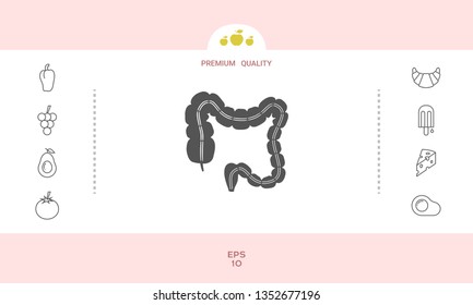 Human organ - the large intestine. Graphic elements for your design