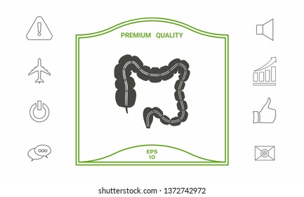 Human organ - the large intestine. Graphic elements for your design