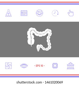 Human organ - the large intestine. Graphic elements for your design