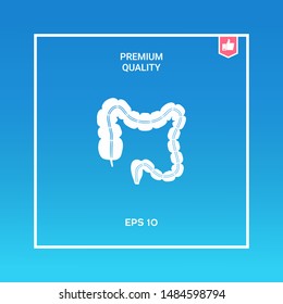 Human organ - the large intestine. Graphic elements for your design
