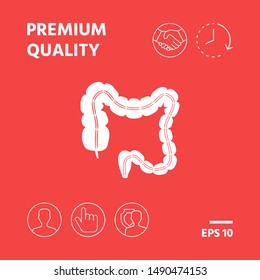 Human organ - the large intestine. Graphic elements for your design