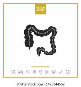 Human organ - the large intestine. Graphic elements for your design