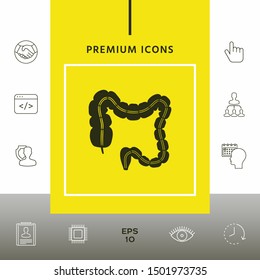 Human organ - the large intestine. Graphic elements for your design